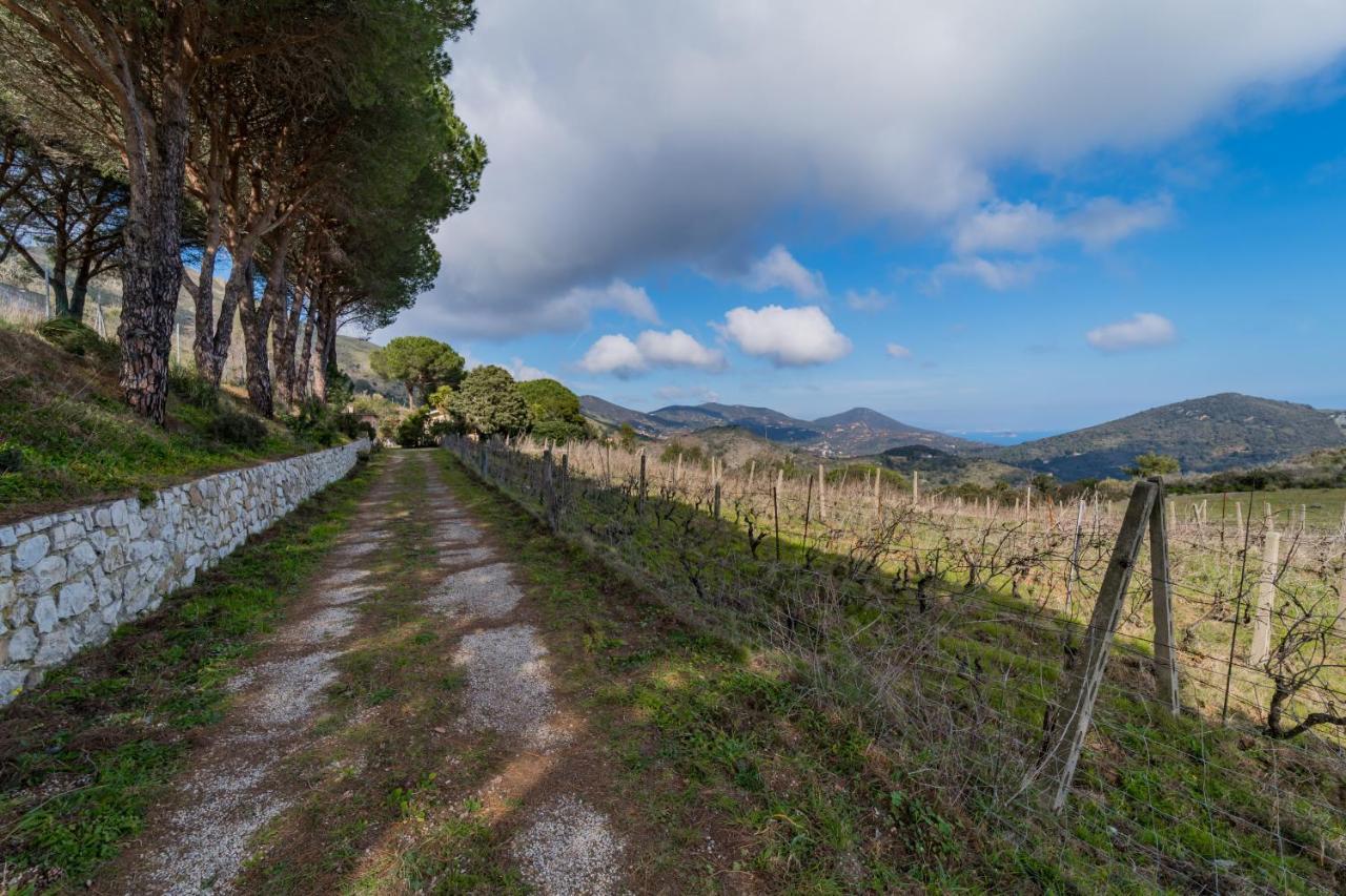 Villa Campo Al Pero ริโอมารินา ภายนอก รูปภาพ